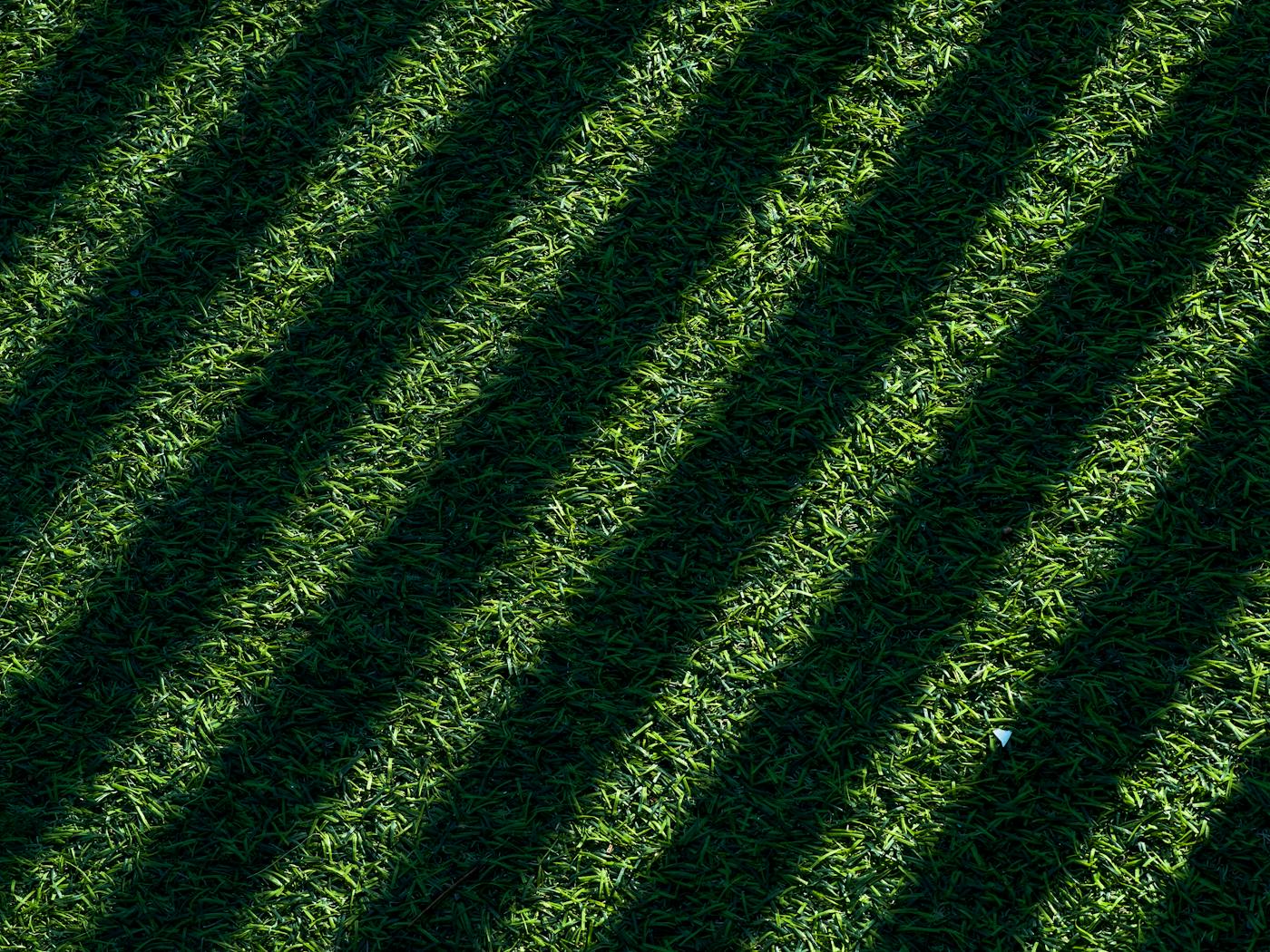Diagonal mowing-stripe pattern across a Bermuda lawn.